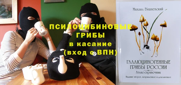 экстази Алексин