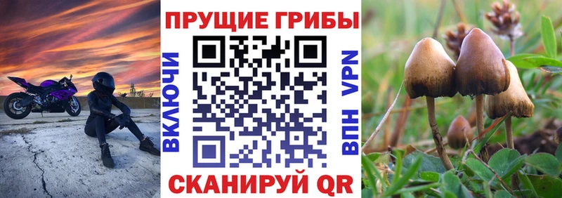 Галлюциногенные грибы мицелий цена наркотик Малаховка